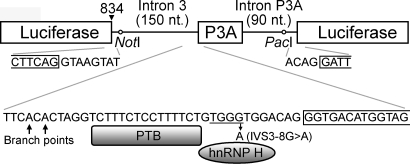 Figure 1.