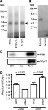 Figure 3.