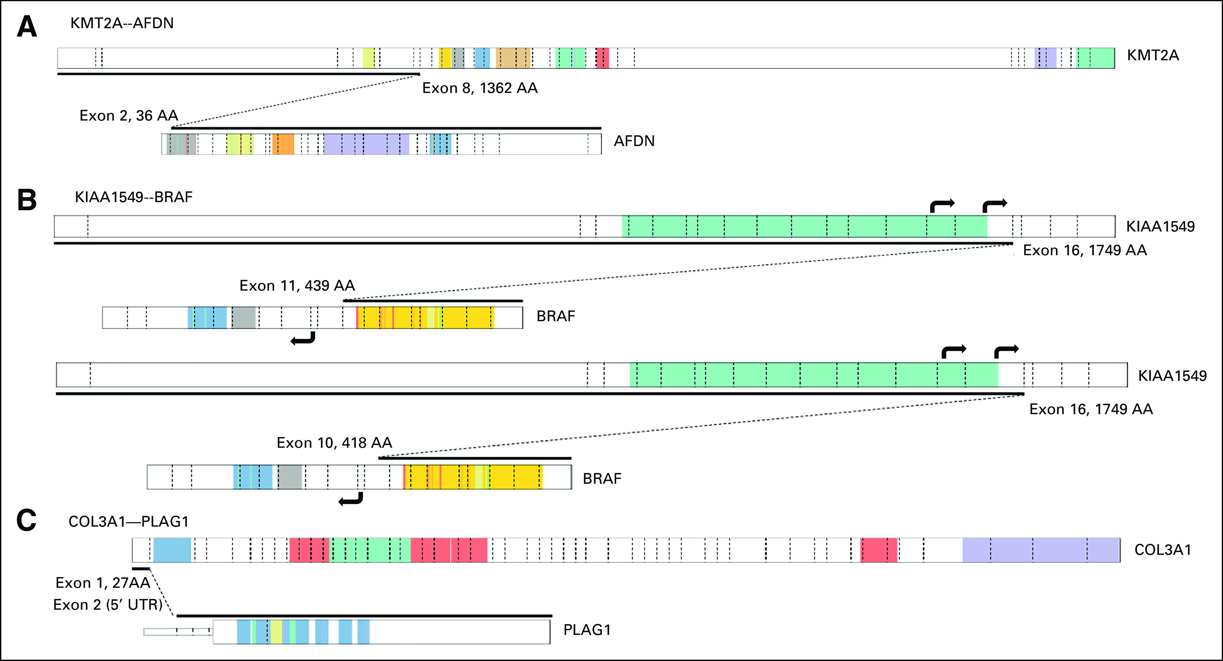 FIG 4.