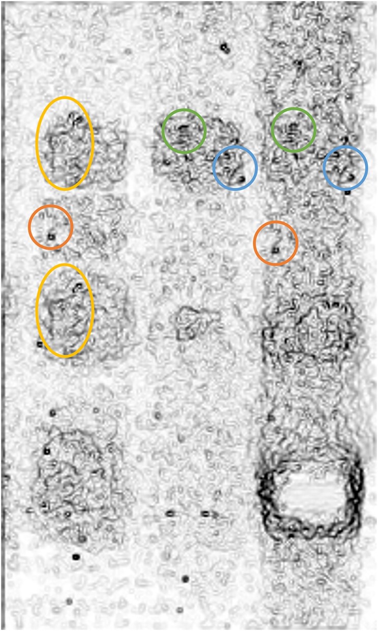 Figure 2C.