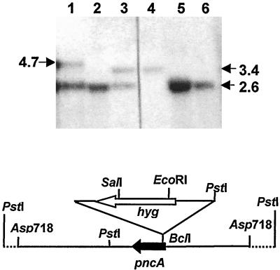 FIG. 1