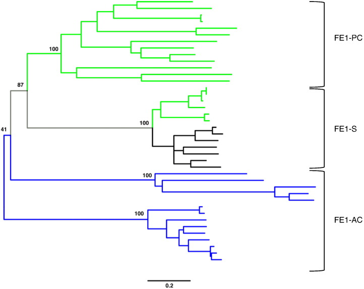 Fig. 9