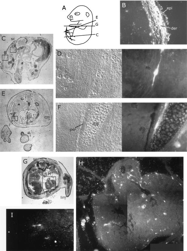 FIG. 6.