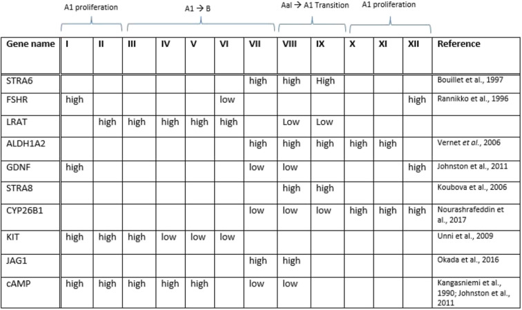 graphic file with name 12958_2020_686_Tab2_HTML.jpg