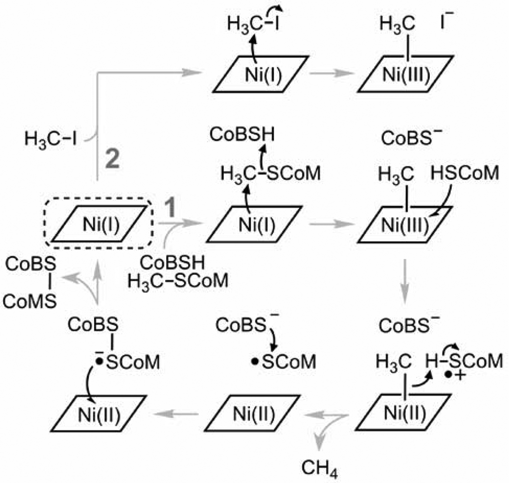 Scheme 1