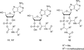 Scheme 5