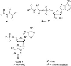 Scheme 3