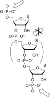 Scheme 6