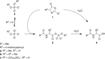 Scheme 1