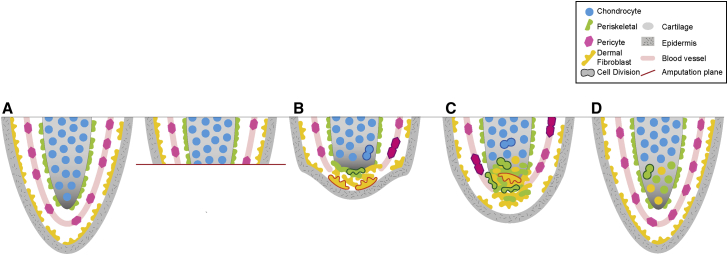 Figure 7