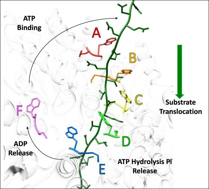 Figure 4.