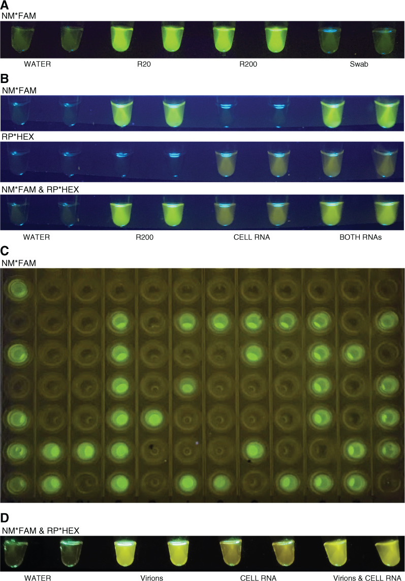 FIGURE 2