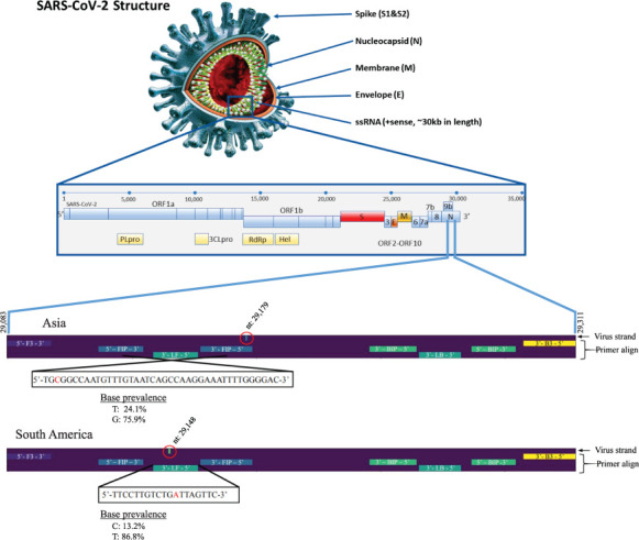 FIGURE 3