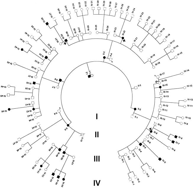 Figure  2