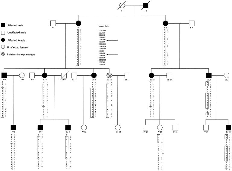 Figure  5