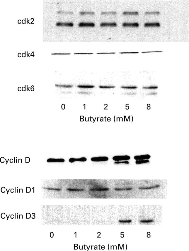 Figure 9  