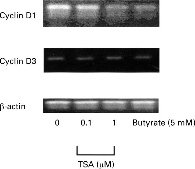 Figure 4  