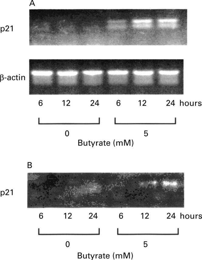 Figure 5  