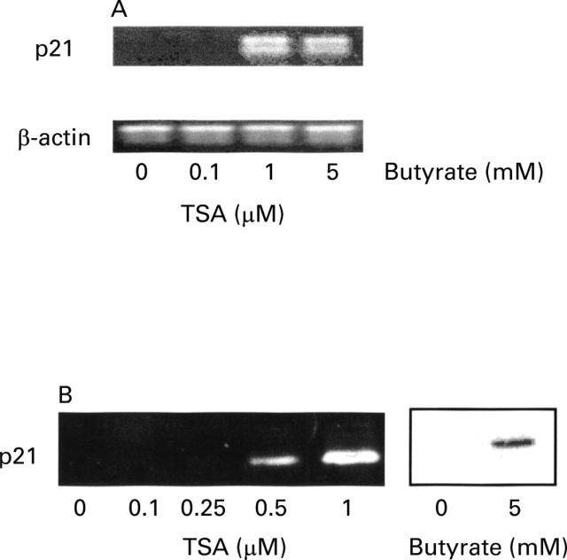 Figure 6  