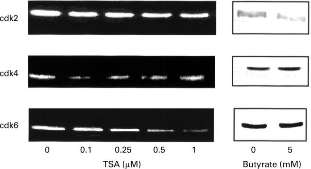 Figure 7  