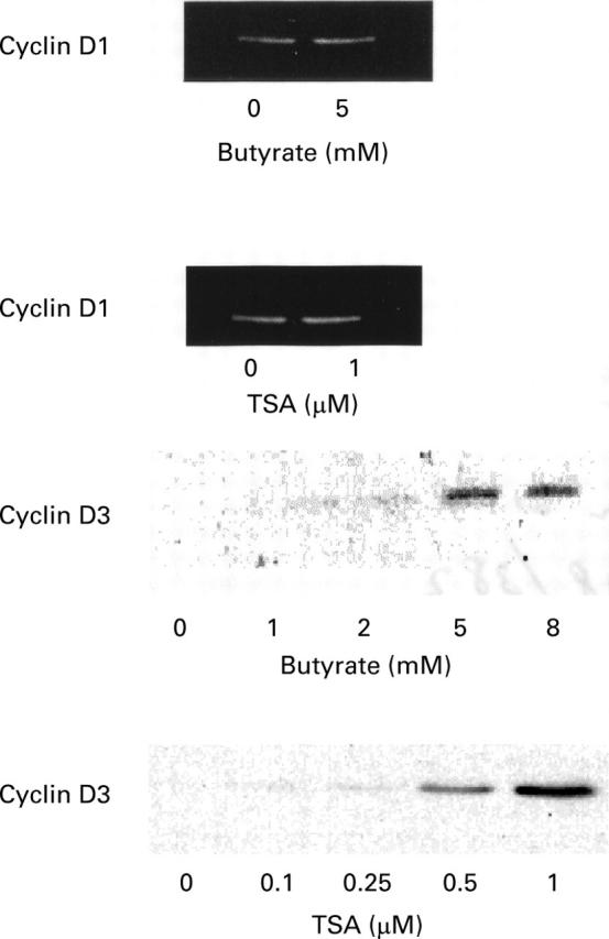 Figure 3  