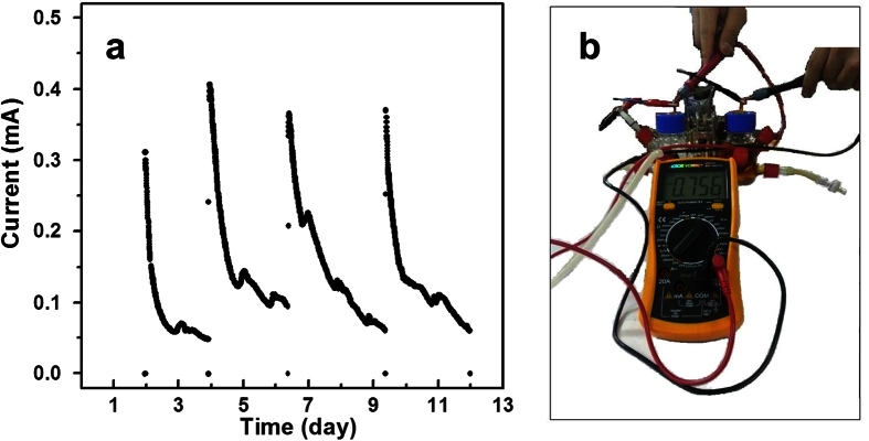 Figure 6