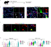 Extended Data 2.