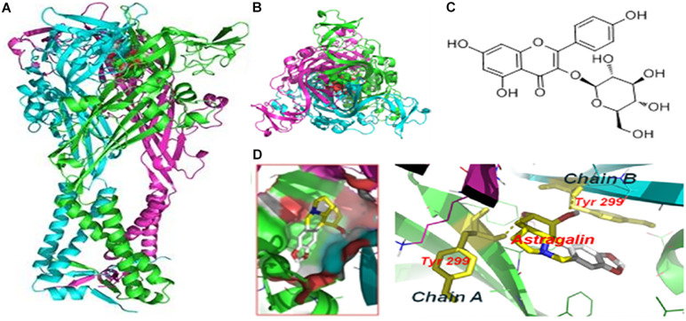 FIGURE 2