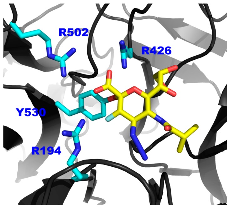 Figure 5