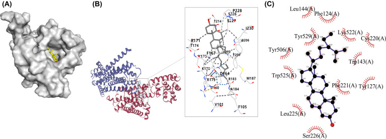 Fig. (2)