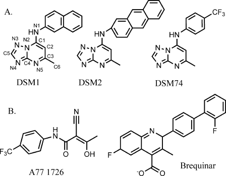 FIGURE 1.