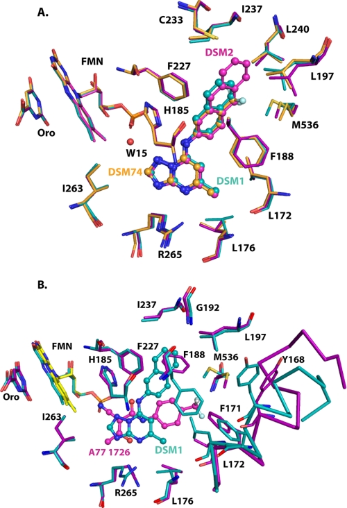 FIGURE 6.