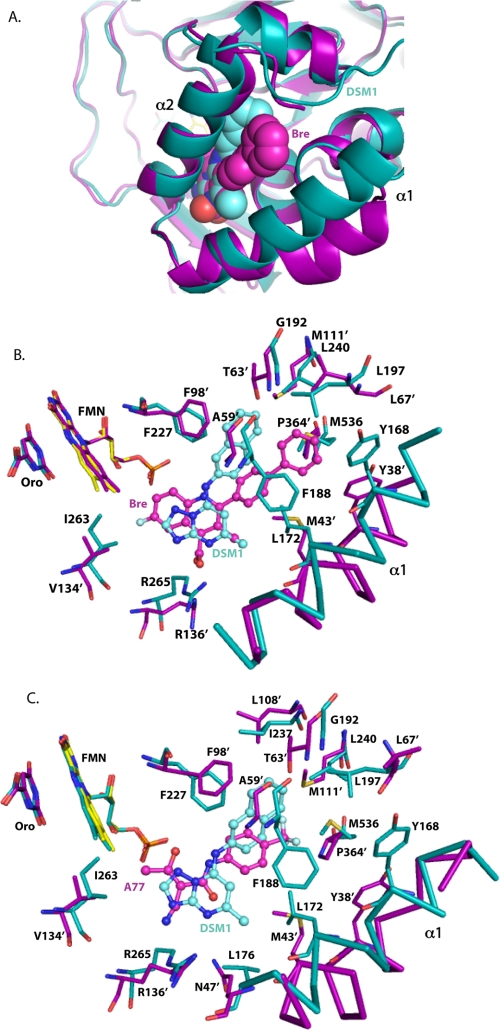 FIGURE 7.