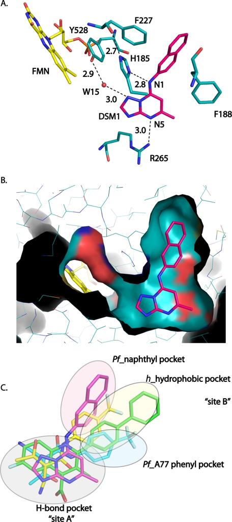 FIGURE 4.