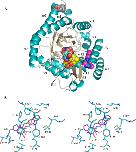 FIGURE 3.