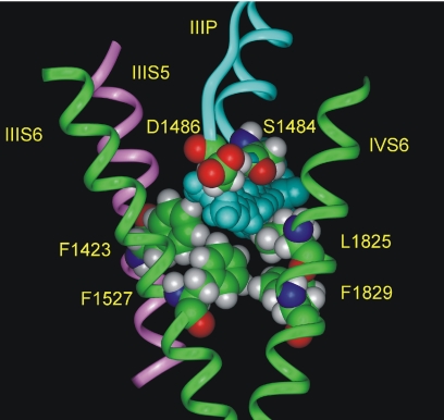 Fig. 7.