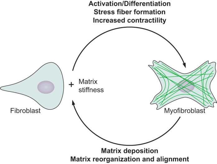 FIGURE 16.