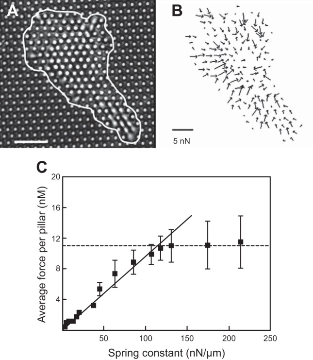 FIGURE 5.