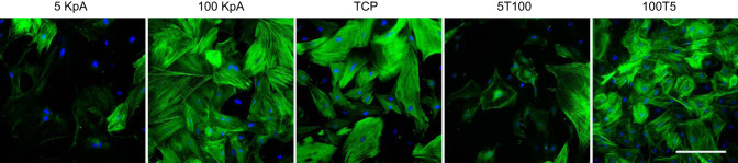 FIGURE 14.