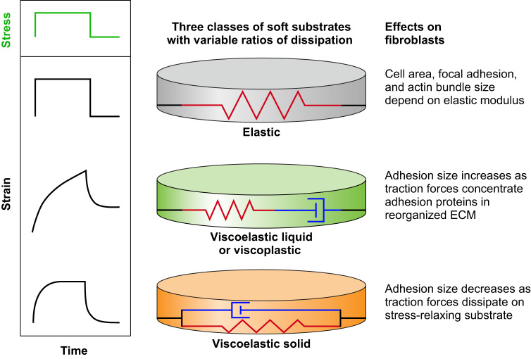 FIGURE 11.