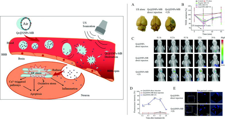 Fig. 16