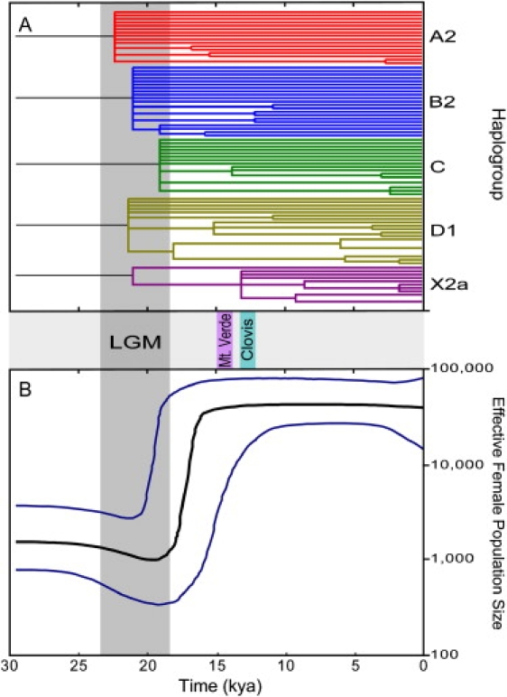 Figure 4