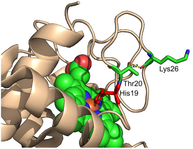 FIGURE 2