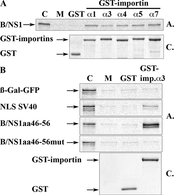 FIG. 7.