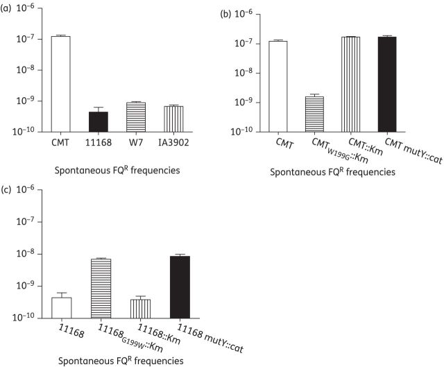 Figure 3.