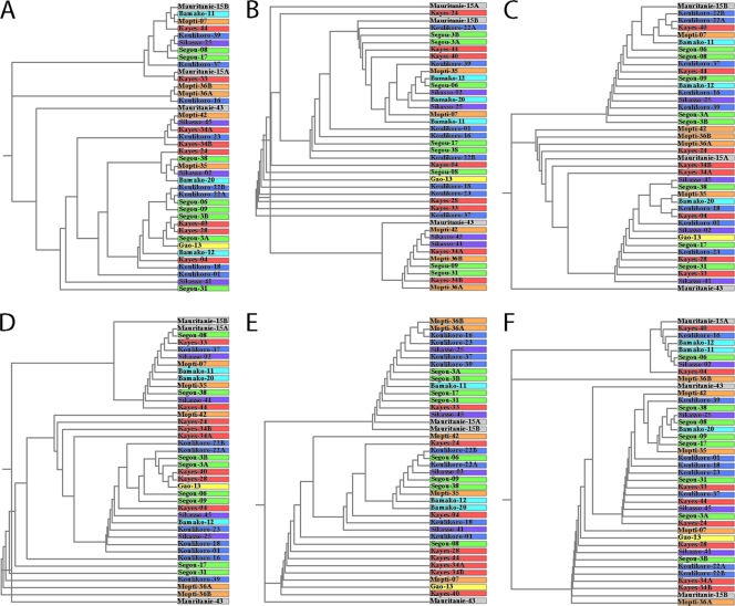 FIG. 2.