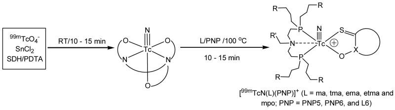 Scheme I