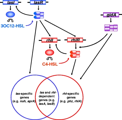 FIG. 6.