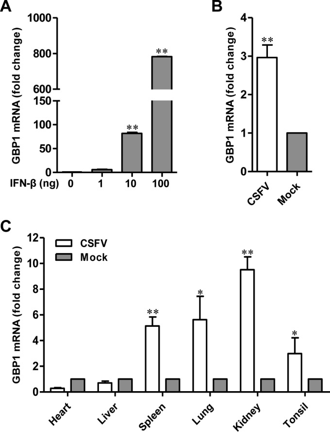 FIG 3