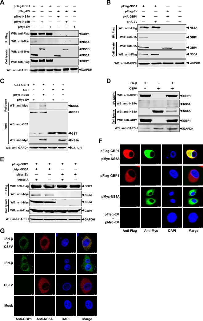 FIG 6